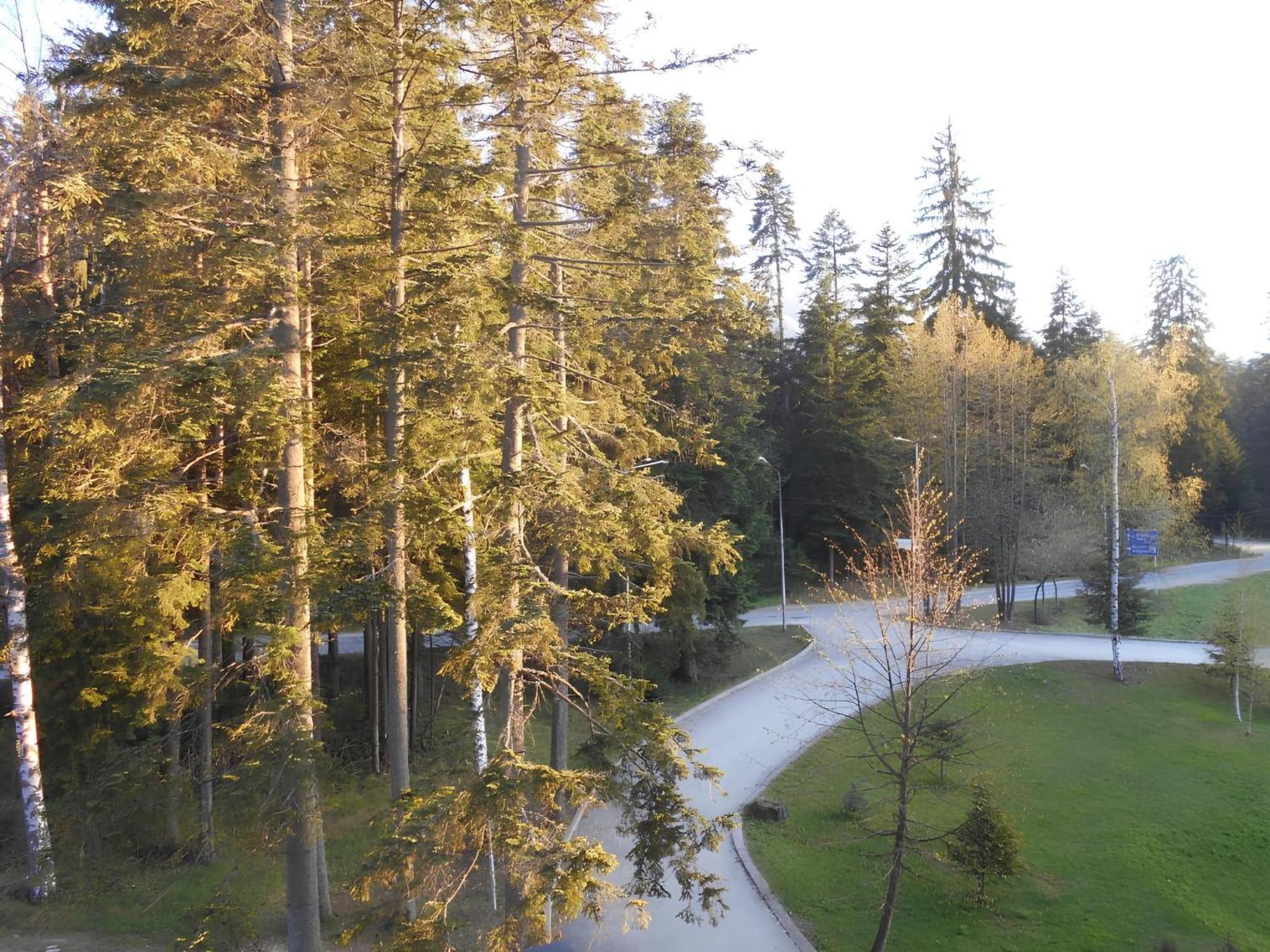 Neat Studios In "Borovets Gardens" Hotel 外观 照片